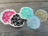 Succulent Vinyl Decal
